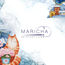 shop cover